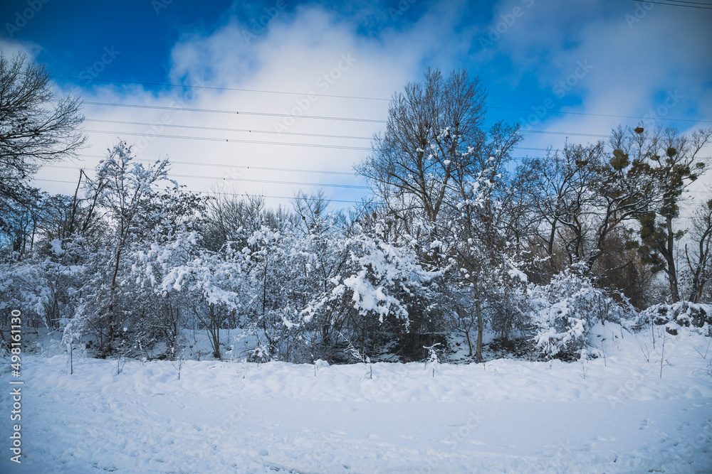 Obraz premium Winterlandschaft