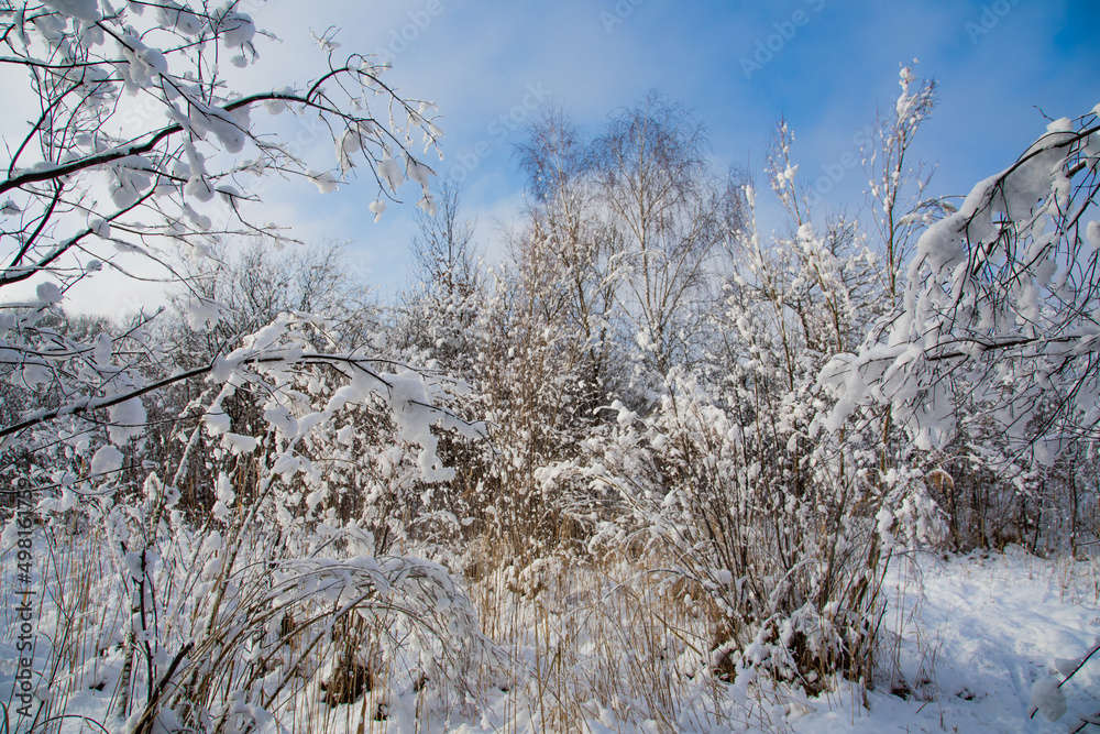 Winterlandschaft Winterlandschaft