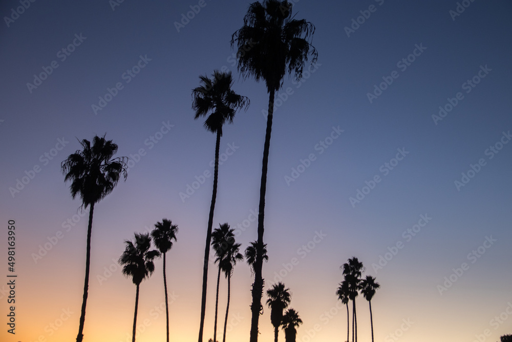 Obraz premium Southern California Sunsets