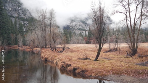 River flowing in autumn forest, Yosemite valley meadow, California wilderness, USA nature. Calm surface of water stream or creek, foggy fall weather, misty rainy mountains. Seamless looped cinemagraph
