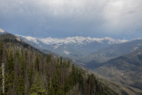 Sierra Nevada Views in Sequoia