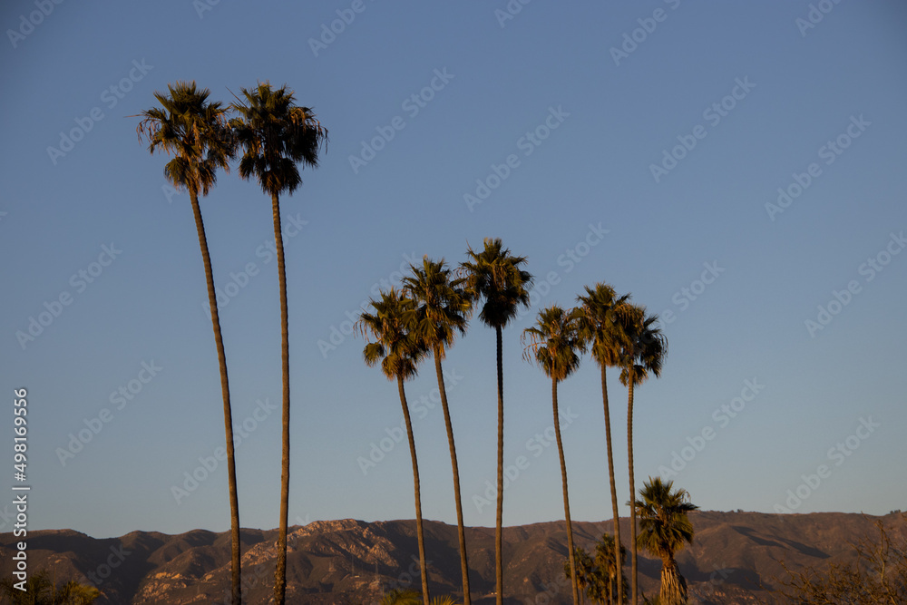 Sunny Santa Barbara