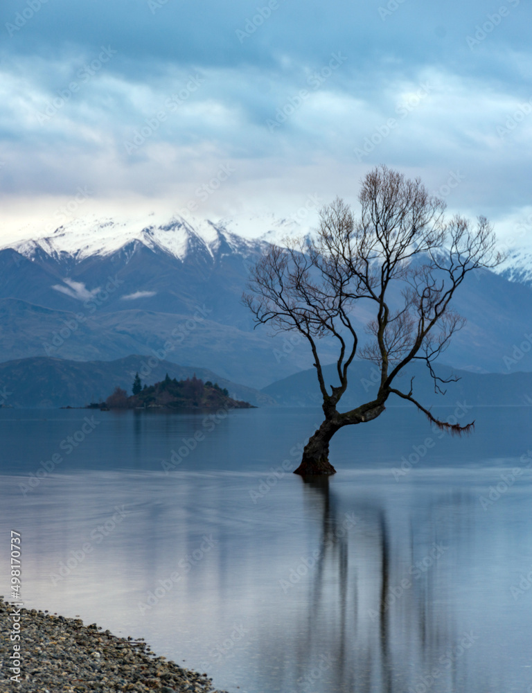 A winters day over Lake Wanaka. 'That Wanaka Tree' in the foreground. 