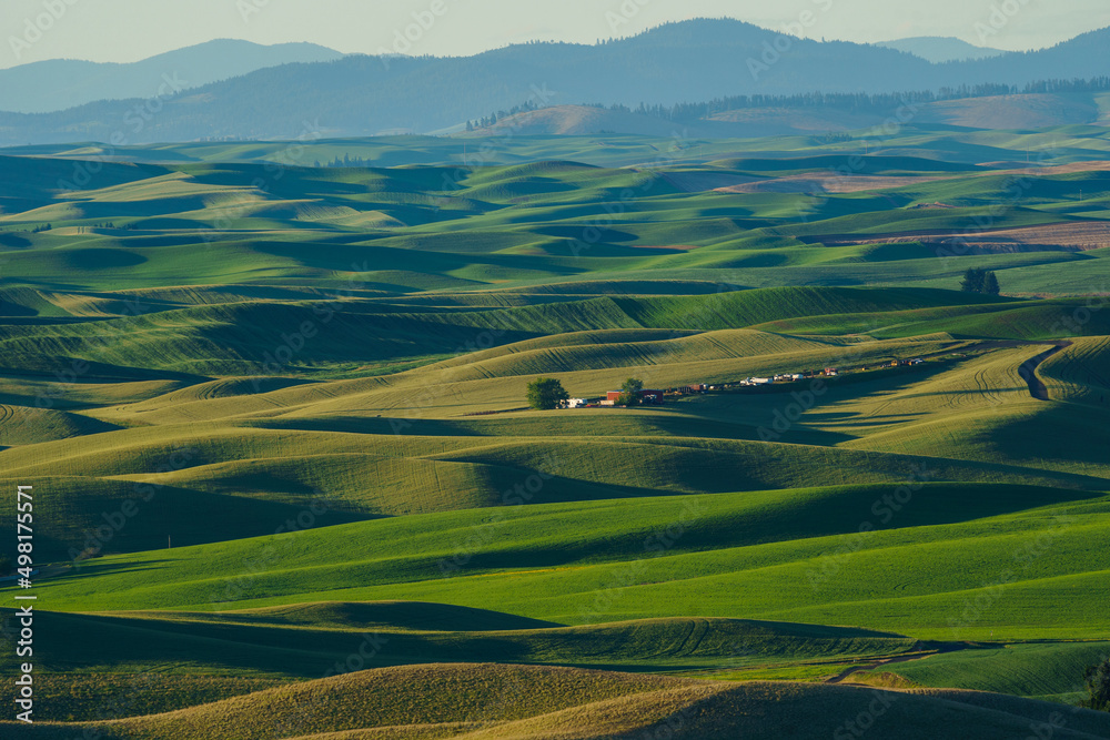 Fototapeta premium steptoe butte state park in Washington