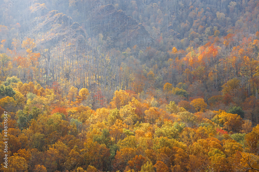 Fall Colors Great Smoky Mountains Tennessee North Carolina Autumn