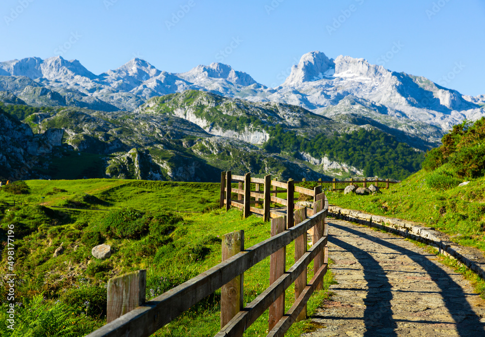 Scenic summer mountain landscape with Picos de Europa, Spain