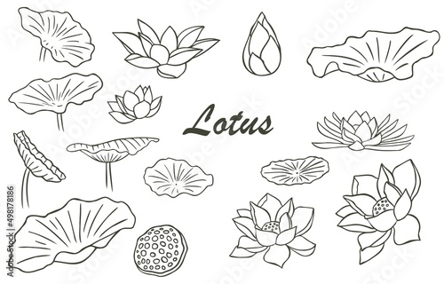 Black lotus flower outline.Vector illustration for icon sticker printable and tattoo