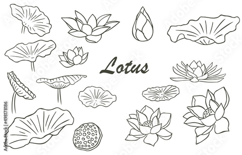 Black lotus flower outline.Vector illustration for icon,sticker,printable and tattoo