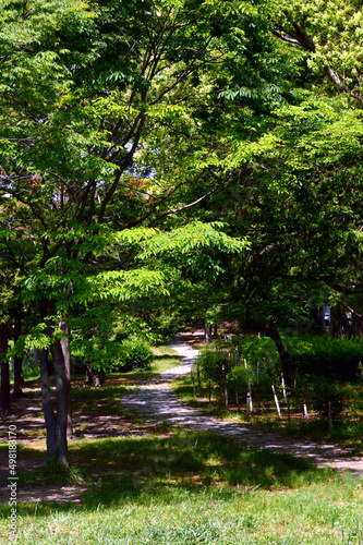 A park without people in the morning, a pattern of light and shadow created by trees on a green carpet.