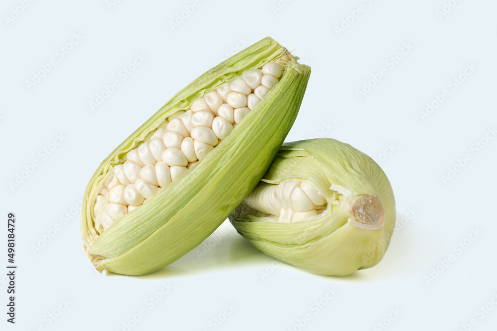 White Maize with and without leaves produced in Peru, isolated on white White Maize with and without leaves produced in Peru, isolated on white