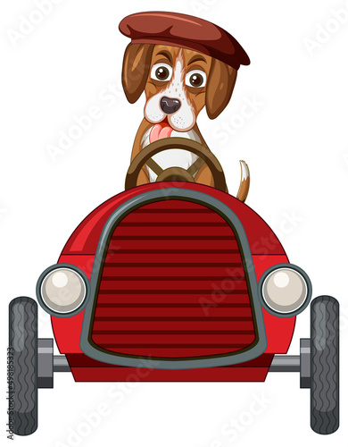 A beagle dog driving car toy