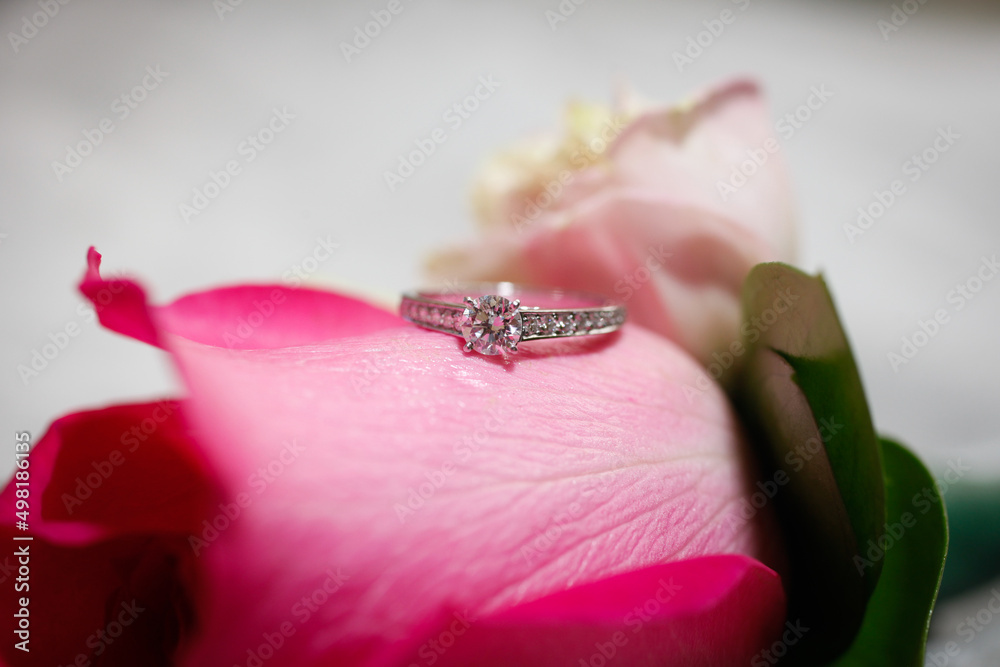 Obraz premium ウエディングの指輪交換の結婚指輪 