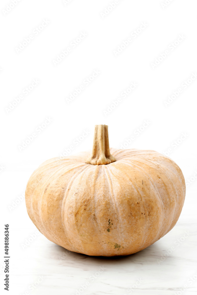 Pumpkin Isolated on White Pumpkin Isolated on White