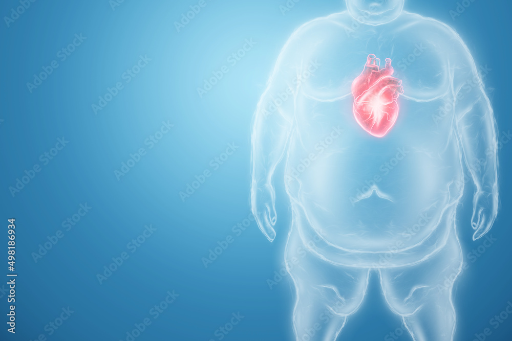 Obesity problem. Effect of obesity on internal organs. Consultation and diagnosis by a doctor. Copy space, 3D render, 3D illustration. Obesity problem. Effect of obesity on internal organs. Consultation and diagnosis by a doctor. Copy space, 3D render, 3D illustration.