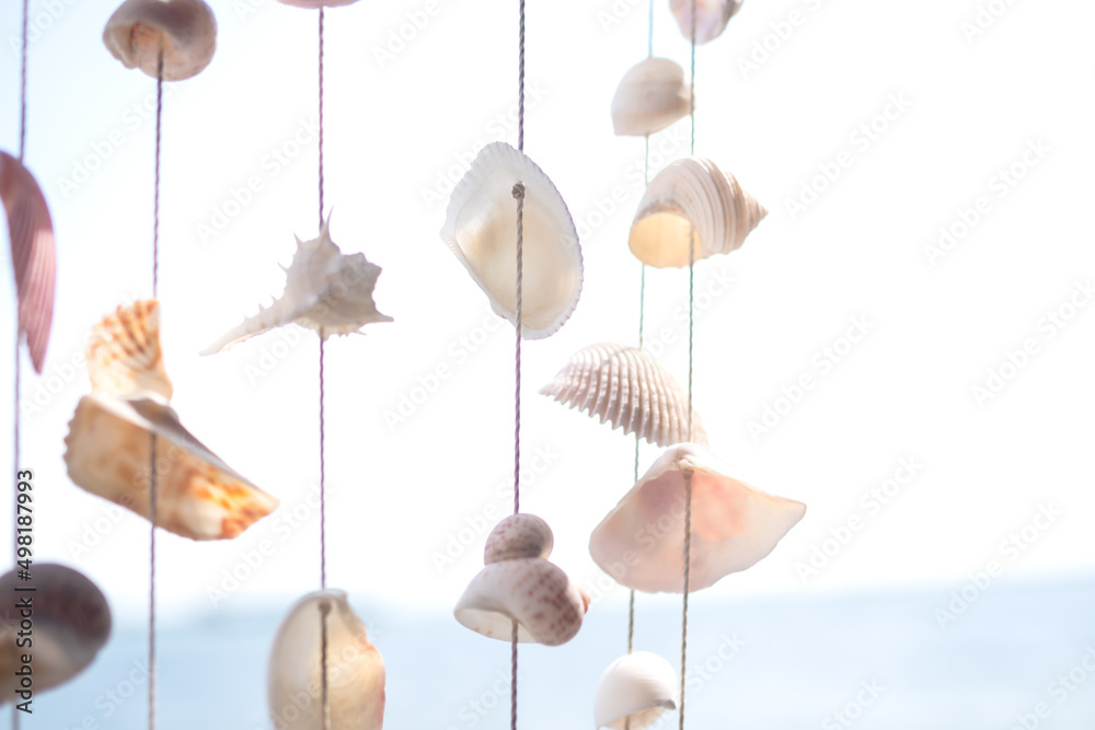 Sea Shell at coast on blur Blue Sea Ocean Background. Poster or Card for Tropical Travel Summer Holidays Concept. Wallpaper Nature Outdoor Landscape.