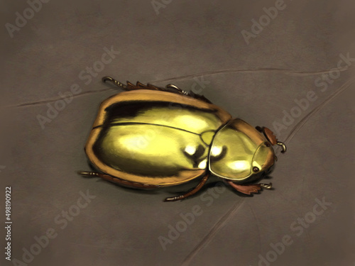 A bug