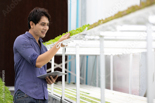 farmer holding tablet and checking organic vegetables on shelf in hydroponic farm
