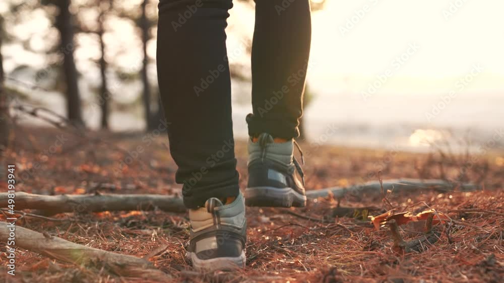 Hiking in the forest. Tourist shoes in the forest park. People travel in nature. Summer woman legs in nature park. Adventure tourist on vacation. Tourist feet in the forest park. Trekking Hiking Hiking in the forest. Tourist shoes in the forest park. People travel in nature. Summer woman legs in nature park. Adventure tourist on vacation. Tourist feet in the forest park. Trekking Hiking