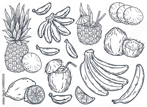Set of summer tropical exotic fruits pineapple cocktail, slice of lemon, bananas and coconut, outline elements for design