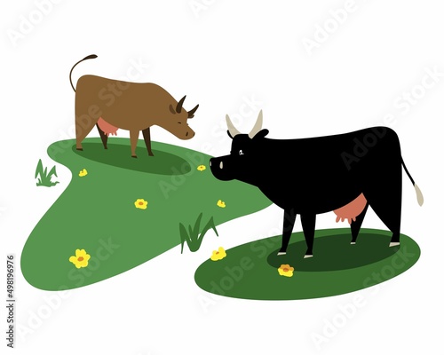 Black and brown cows graze in the meadow. Glade with flowers and animals. Cartoon stylized cows. Flat graphic style illustration