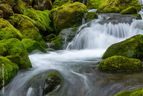 mountain stream to the Vase trail