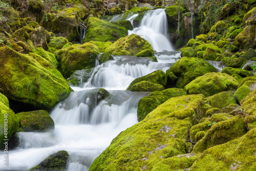 mountain stream to the Vase trail
