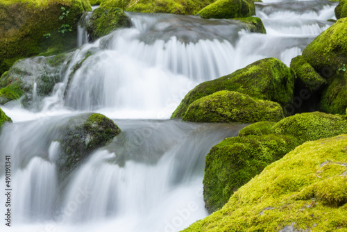 mountain stream to the Vase trail