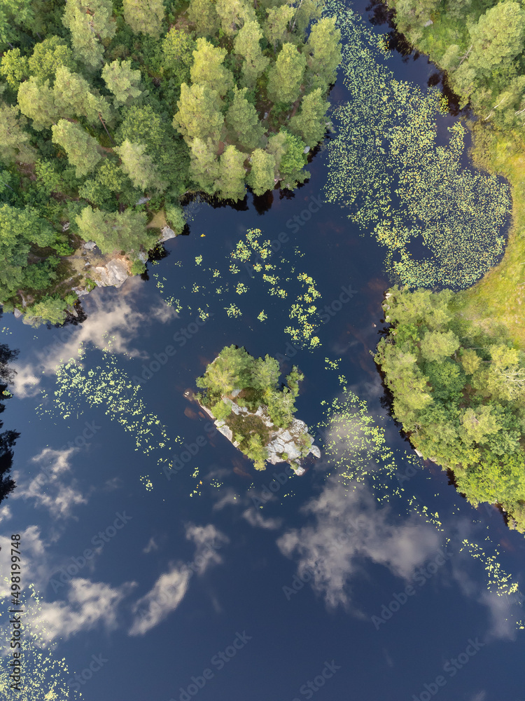 Vertical drone nature photography taken from above in Sweden. Bird's eye view of a lake with green trees and a small island. Blue water surface background with reflections, copy space. Travel concept. Vertical drone nature photography taken from above in Sweden. Bird's eye view of a lake with green trees and a small island. Blue water surface background with reflections, copy space. Travel concept.