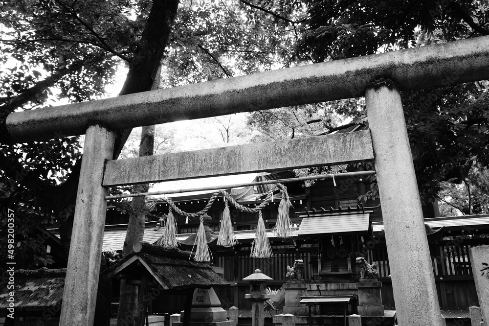 神社のモノクロ素材 神社のモノクロ素材