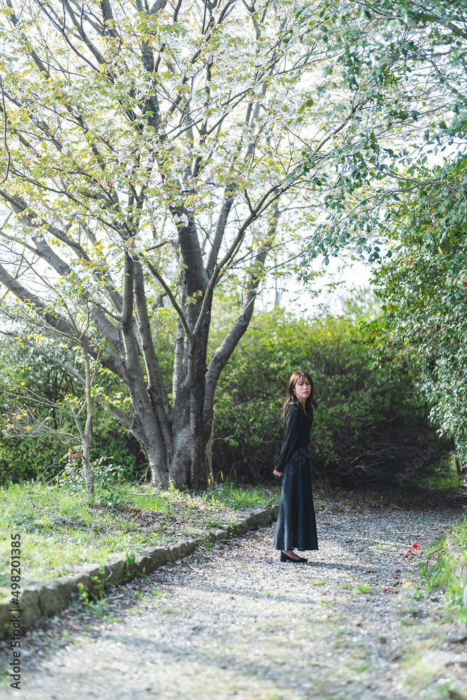 森林公園を散策する女性 森林公園を散策する女性