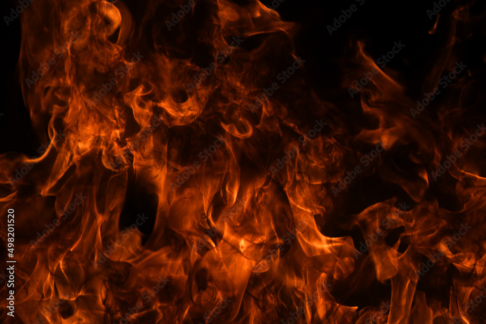 Fire flame. Burn lights on a black background. Fire flame. Burn lights on a black background.