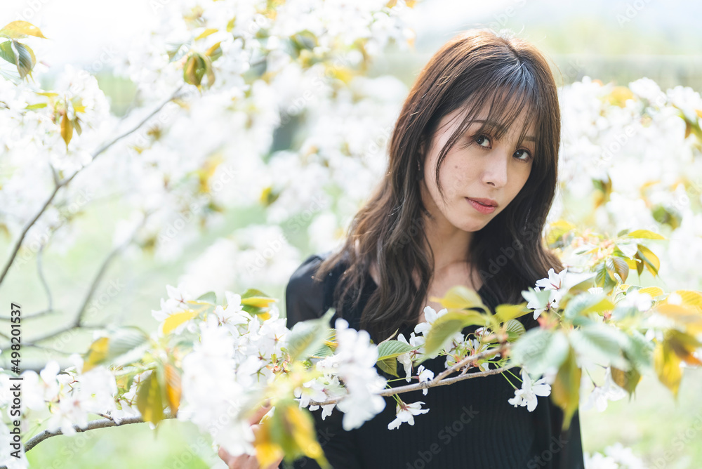 森林公園を散策する女性