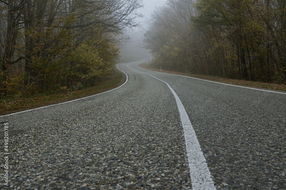 Fototapeta premium A country road curve with white lines of markings in an autumn forest. Asphalt road and forest in the fog. Mysterious landscape.