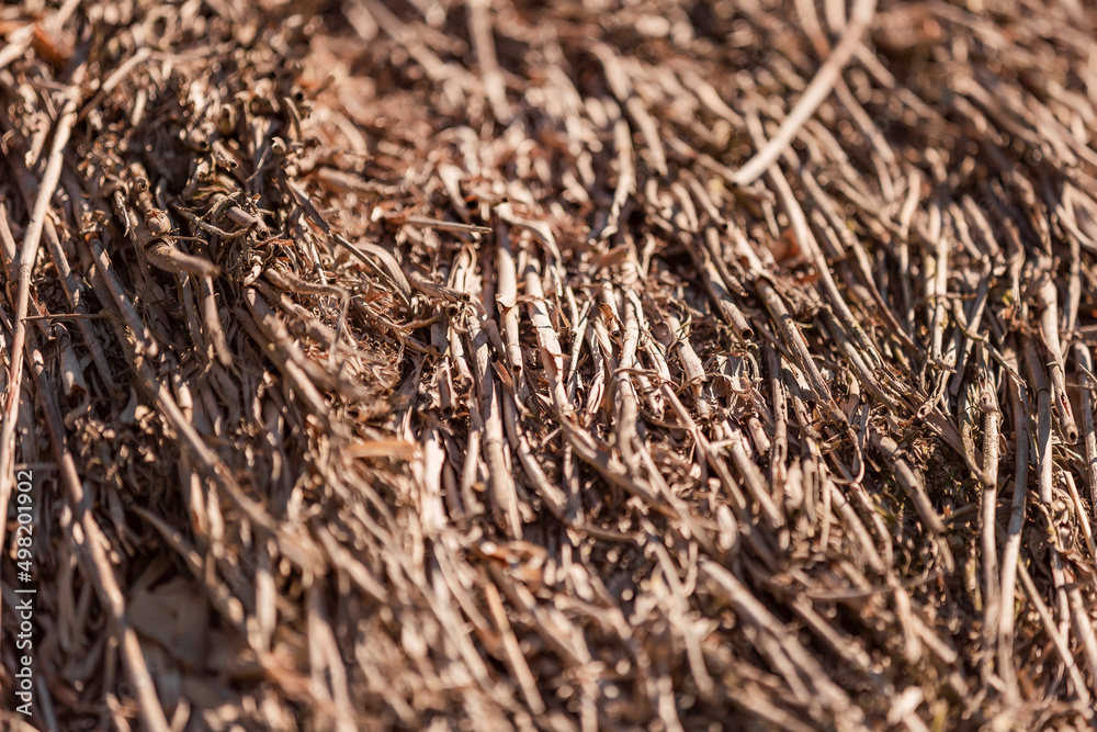 old thatched roof close-up as a background old thatched roof close-up as a background