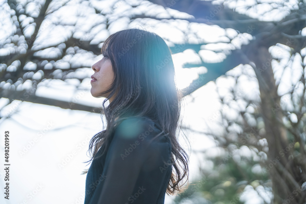 夕暮れの公園を散策する女性