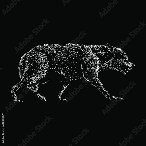 Mackenzie Wolf illustration isolated on black background
