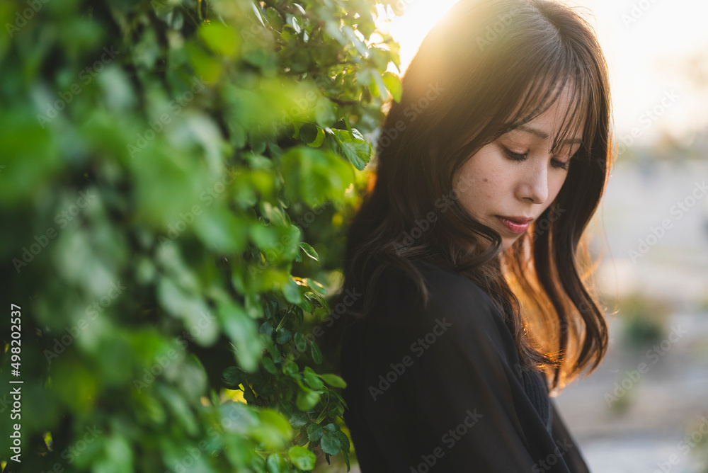 夕暮れの公園を散策する女性 夕暮れの公園を散策する女性