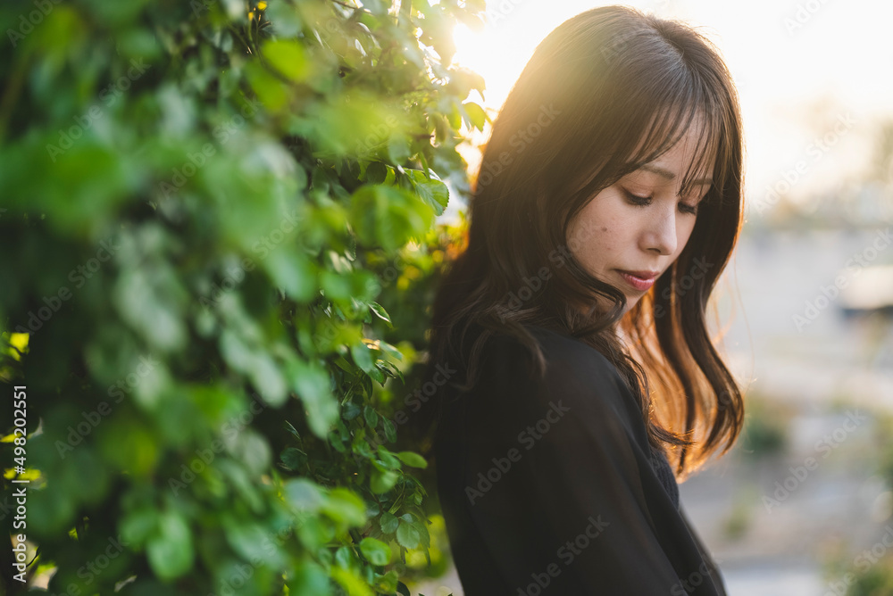 夕暮れの公園を散策する女性 夕暮れの公園を散策する女性