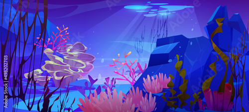 Underwater scene of sea floor with corals and seaweed. Vector cartoon illustration of ocean bottom landscape with stones and tropical undersea animals and plants