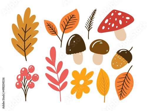 Autumn hand drawn colorful elements set. Fall signs and symbols icons.