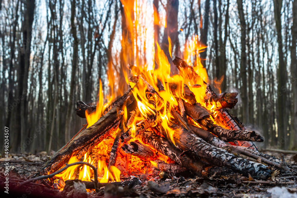 Campfire in the spring forest. Rest on the weekend. Danger of forest fires Campfire in the spring forest. Rest on the weekend. Danger of forest fires