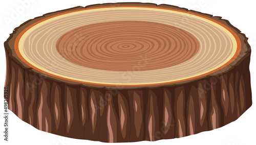 Anatomy of tree trunk photo