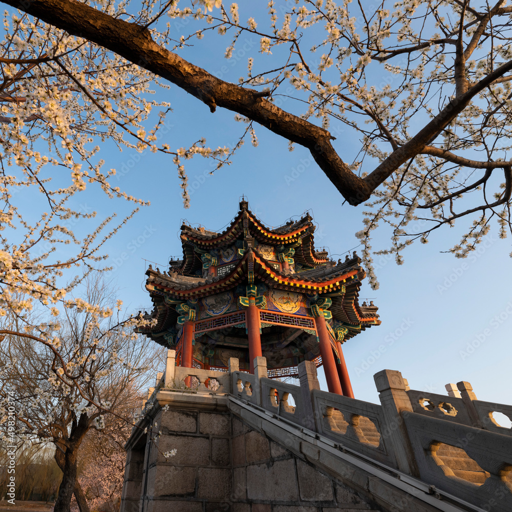 The pavilion in the Summer Palace with flourishing flowers The pavilion in the Summer Palace with flourishing flowers