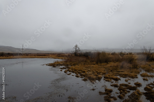 Swampy area near the river in rainy weather.