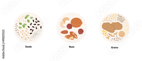 Food illustration collection. Vector flat design of various seeds, nuts and grains symbol in circle frame isolated on white background.