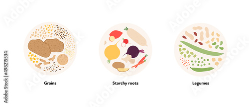 Food illustration collection. Vector flat design of various grains, starchy roots and legumes symbol in circle frame isolated on white background.