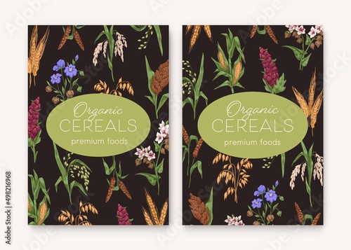 Cereal backgrounds with grain crops pattern. Food package designs with mix of...