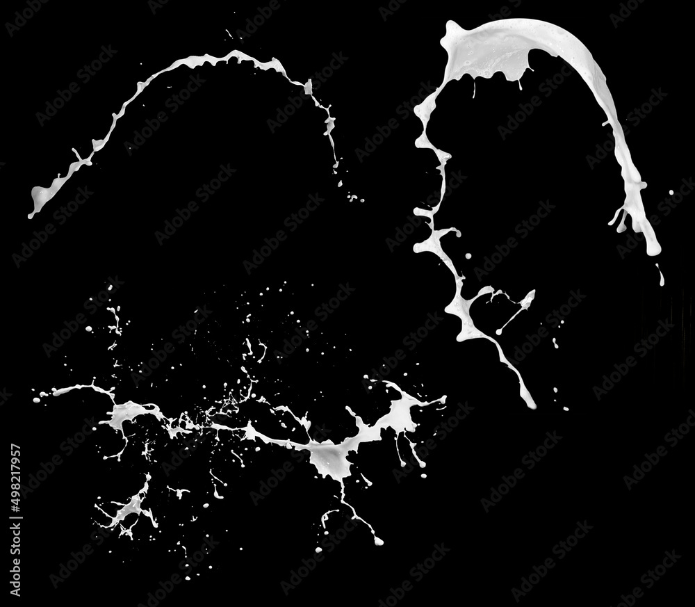 Obraz premium Collection of milk splashes. A splash of milkshake. A set of isolated dairy