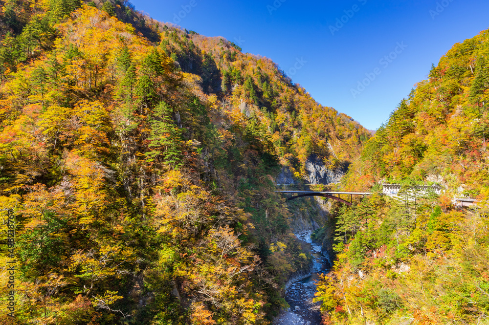 白山白川郷ホワイトロード 蛇谷大橋の紅葉 白山白川郷ホワイトロード 蛇谷大橋の紅葉
