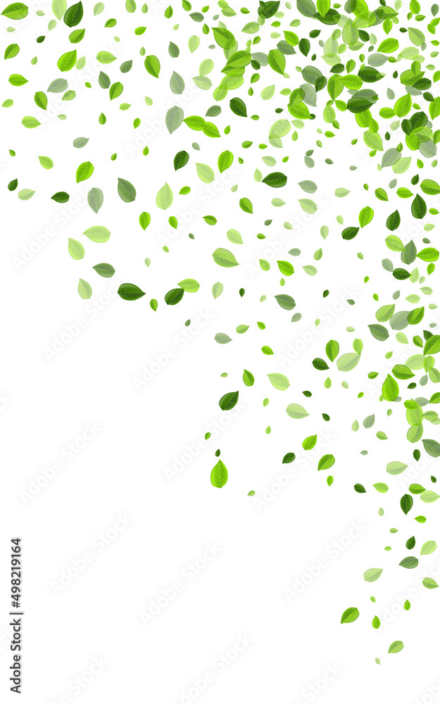 Lime Greens Wind Vector White Background. Motion Lime Greens Wind Vector White Background. Motion